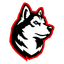 Northeastern logo