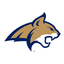 Montana State logo