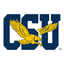 Coppin State logo