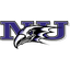 Niagara logo