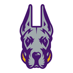 Albany (NY) logo