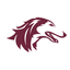 Southern Illinois logo