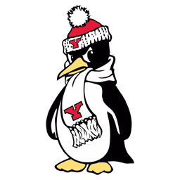 Youngstown State logo
